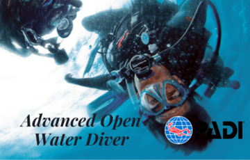 Advanced Open Water Diver