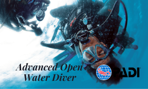 Advanced Open Water Diver