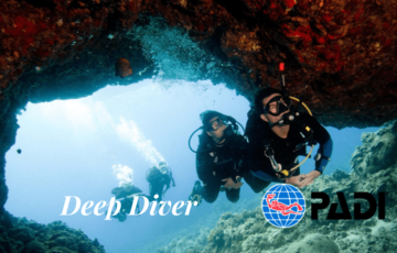 Deep Diver