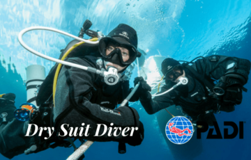 Dry Suit Diver