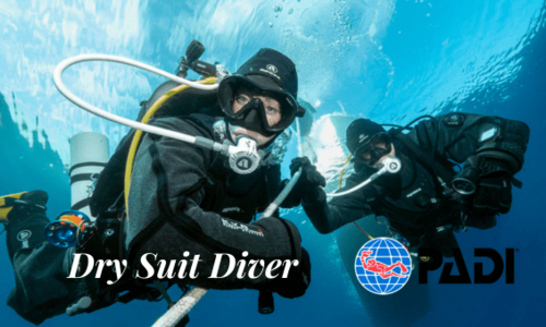 Dry Suit Diver