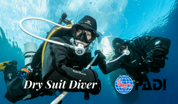 Dry Suit Diver