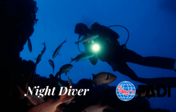Night Diver