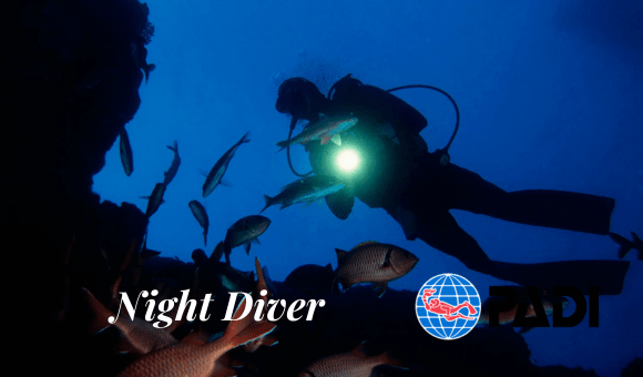 Night Diver