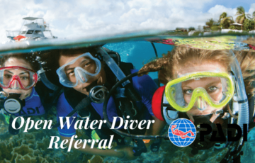 Open Water Diver Referral