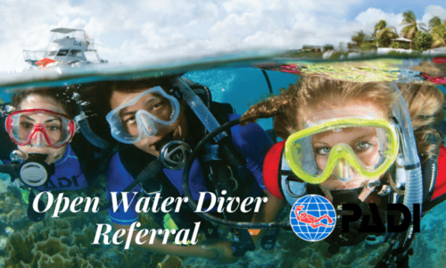 Open Water Diver Referral