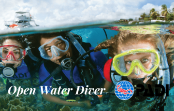 Open Water Diver