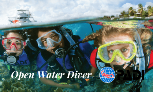 Open Water Diver