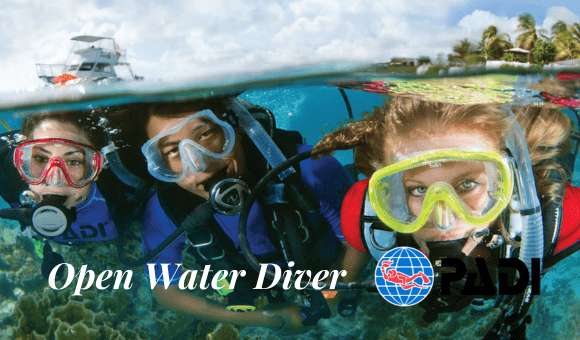 Open Water Diver
