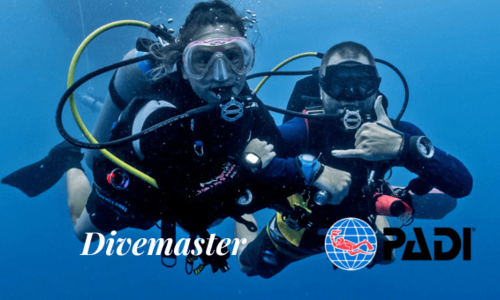 Divemaster PADI