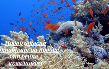 Подарунковий сертифікат Discover Scuba Diving