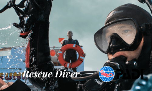 Rescue Diver