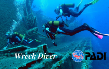 Wreck Diver