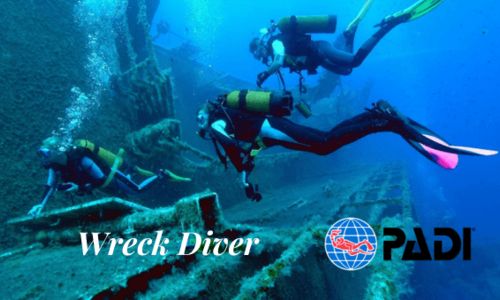 Wreck Diver