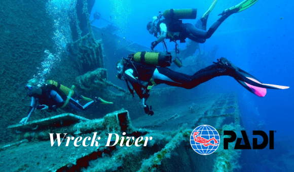 Wreck Diver