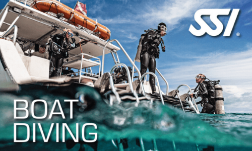 Boat Diving