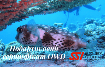 Подарунковий сертифікат Open Water Diver