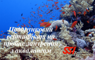 Подарунковий сертифікат Try Scuba Diving