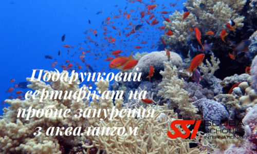 Подарунковий сертифікат Try Scuba Diving