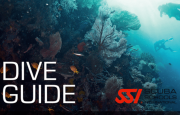 Dive Guide SSI
