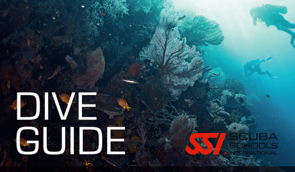 Dive Guide SSI