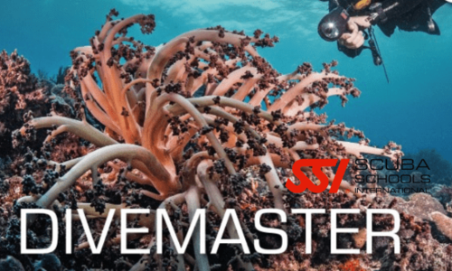 Divemaster SSI