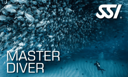 Master Diver