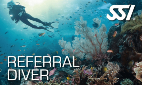 Open Water Diver Referral