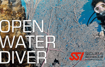 Open Water Diver 