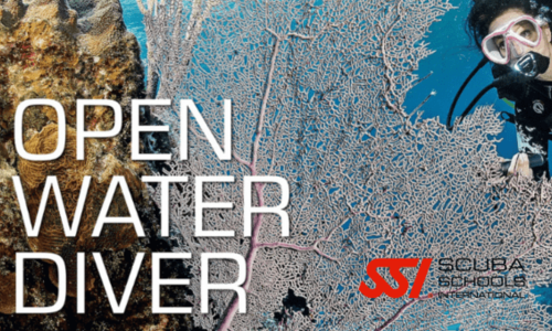 Open Water Diver 