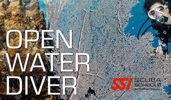 Open Water Diver 