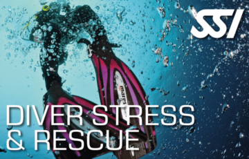 Stress & Rescue