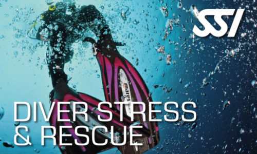 Stress & Rescue