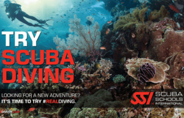 Try Scuba Diving