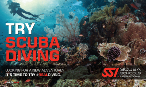 Try Scuba Diving